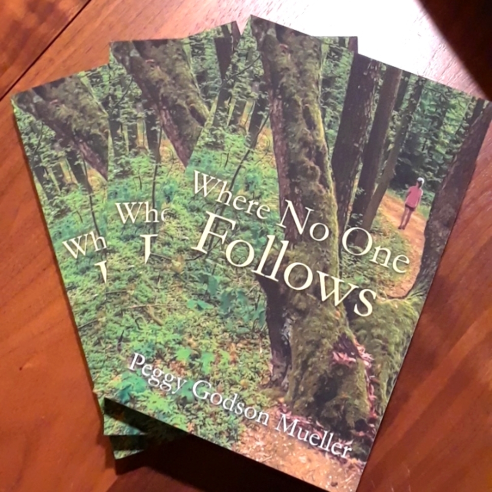 Where No One Follows - book fiction